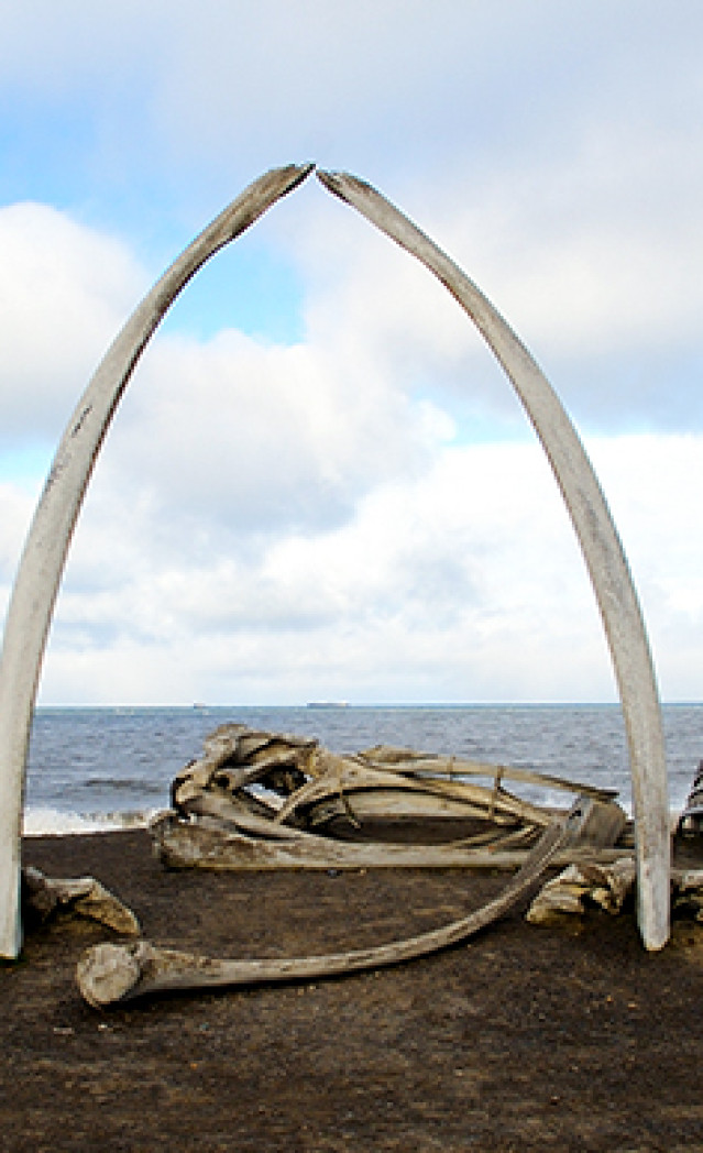 Image of Whale Bone Arch At Barrow