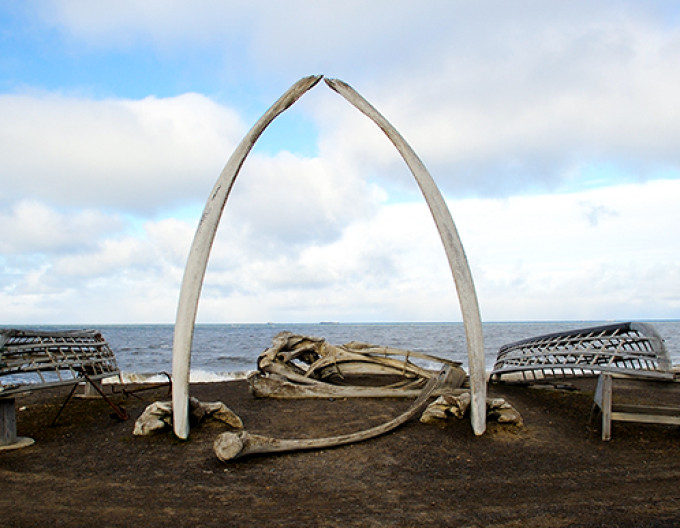 Whale Bone Arch